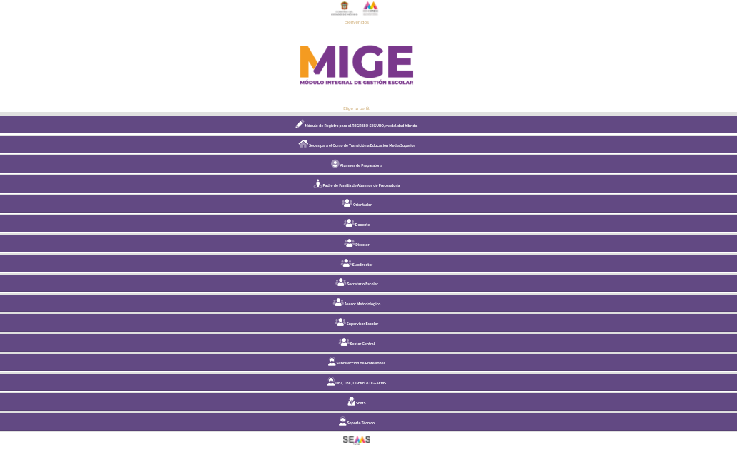 Imagen Previa del Sitio Web MIGE