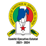 Logo del Smsem